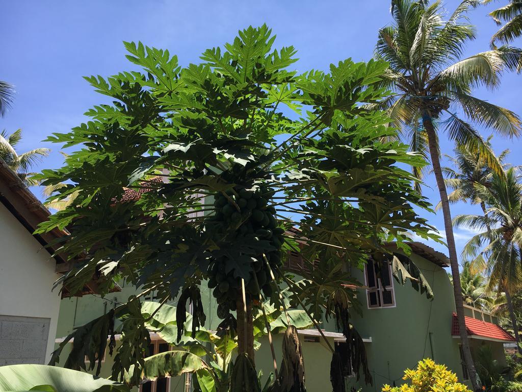 Divine Bliss Beach Resort Varkala Exterior foto