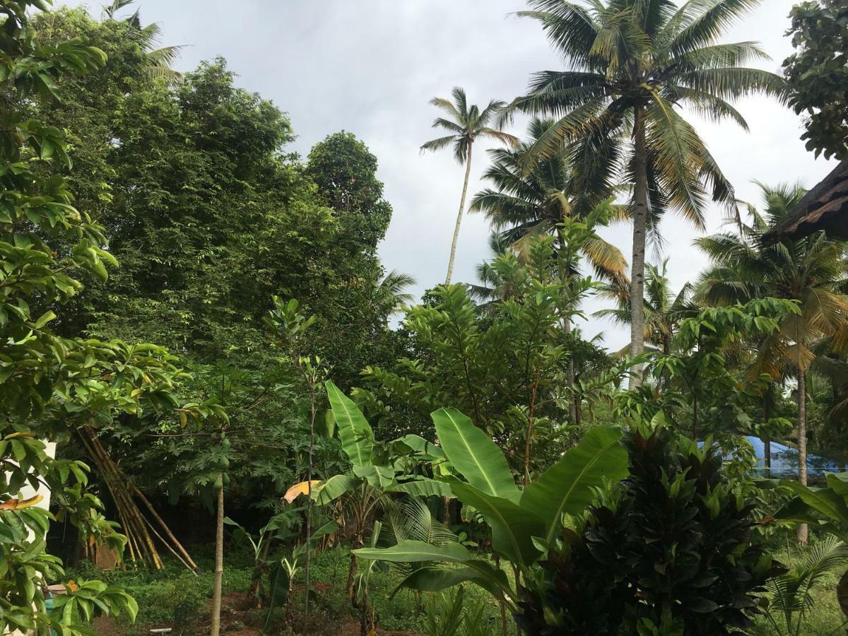 Divine Bliss Beach Resort Varkala Exterior foto