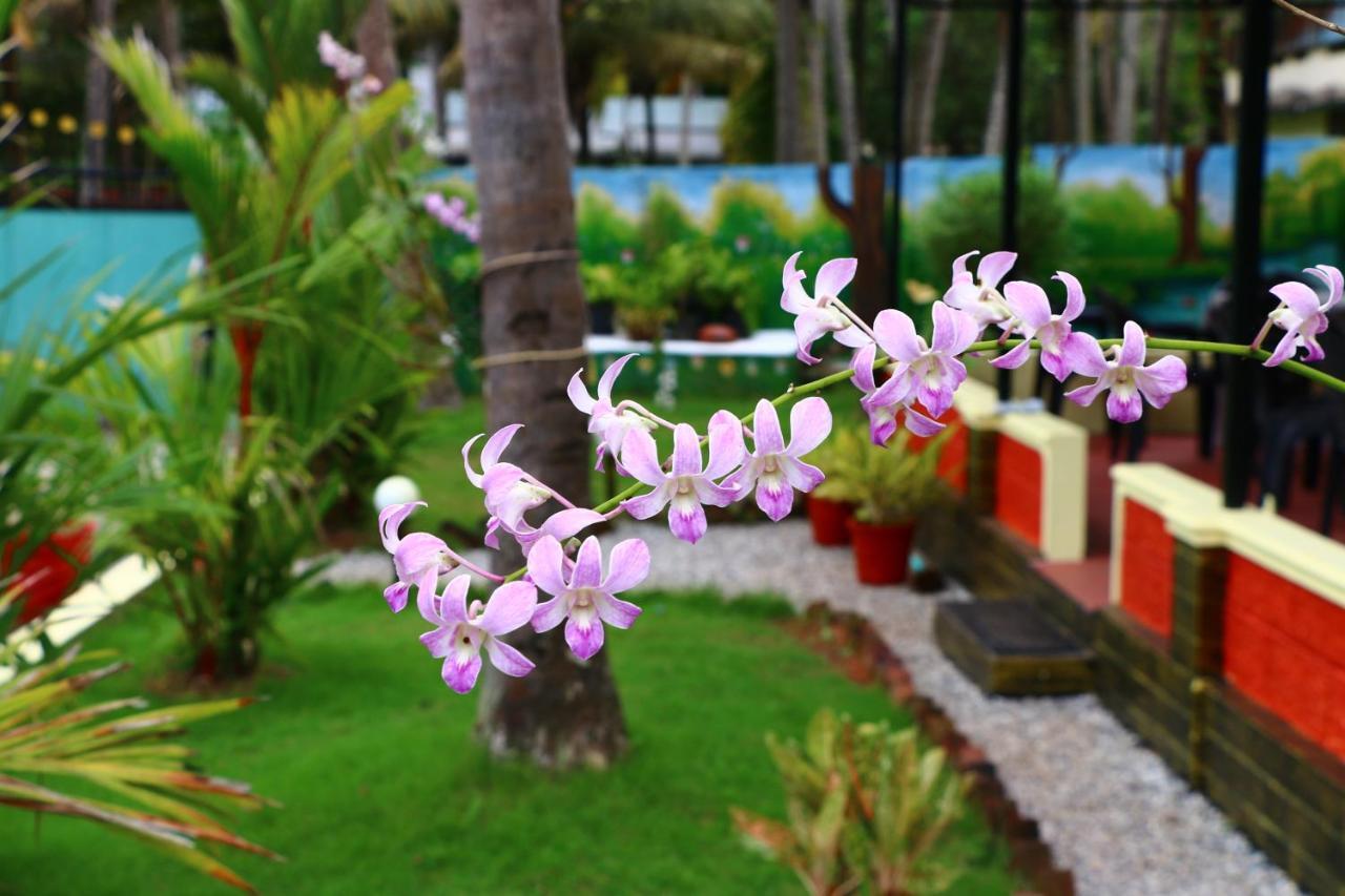 Divine Bliss Beach Resort Varkala Exterior foto